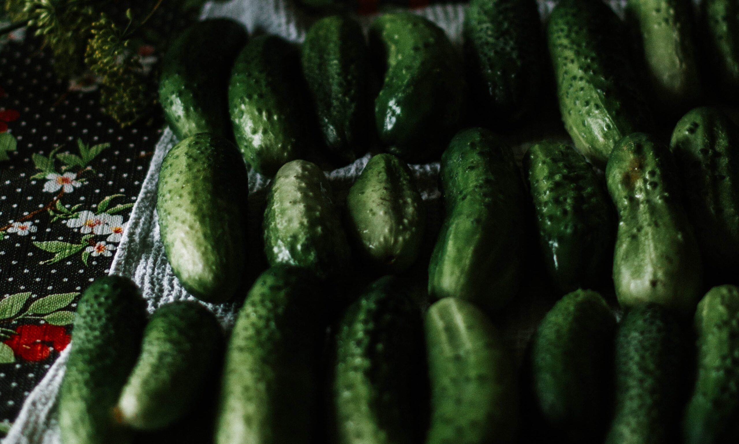 Warum muss eine Wurst so aussehen, wie eine Gurke?