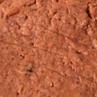 Nahaufnahme der pflanzlichen Fleischmasse von Die Pflanzerei LOTTI – vegane Laibchen mit Kräutern und rauchiger Textur