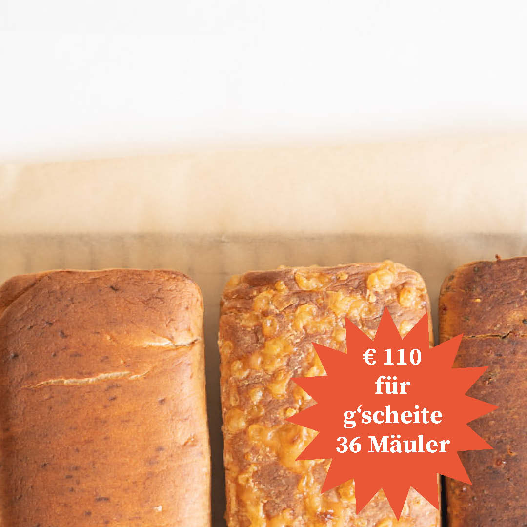 Veganer Leberkäse BOx groß GUSTL Trio